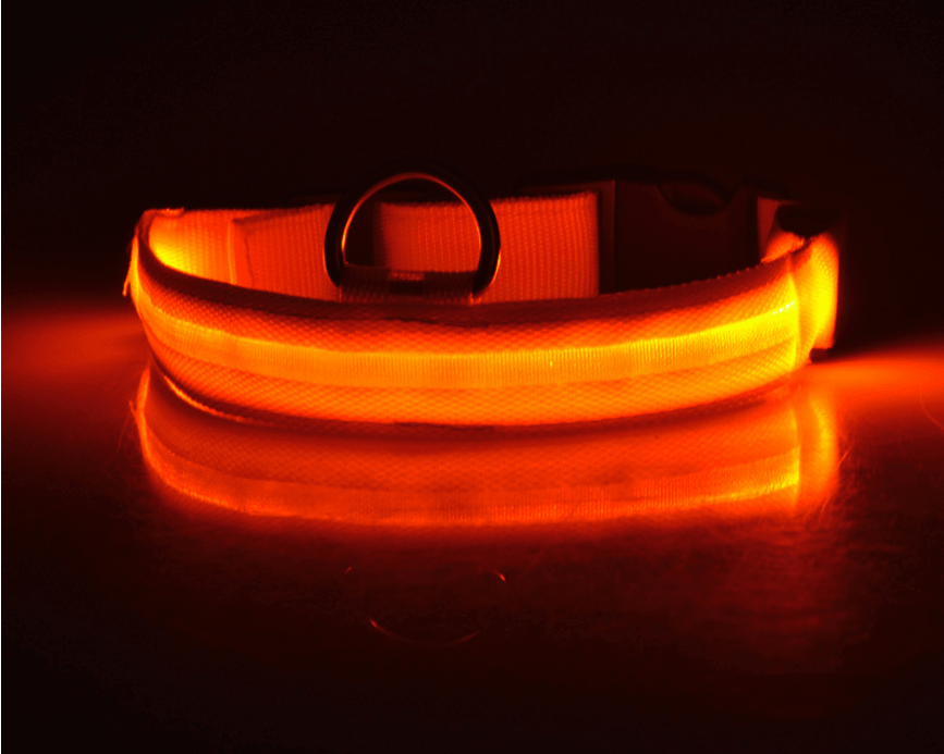 Luminous Glow-In-The-Dark Led Pet Collar: The Ultimate Night Safety Accessory For Dogs And Cats