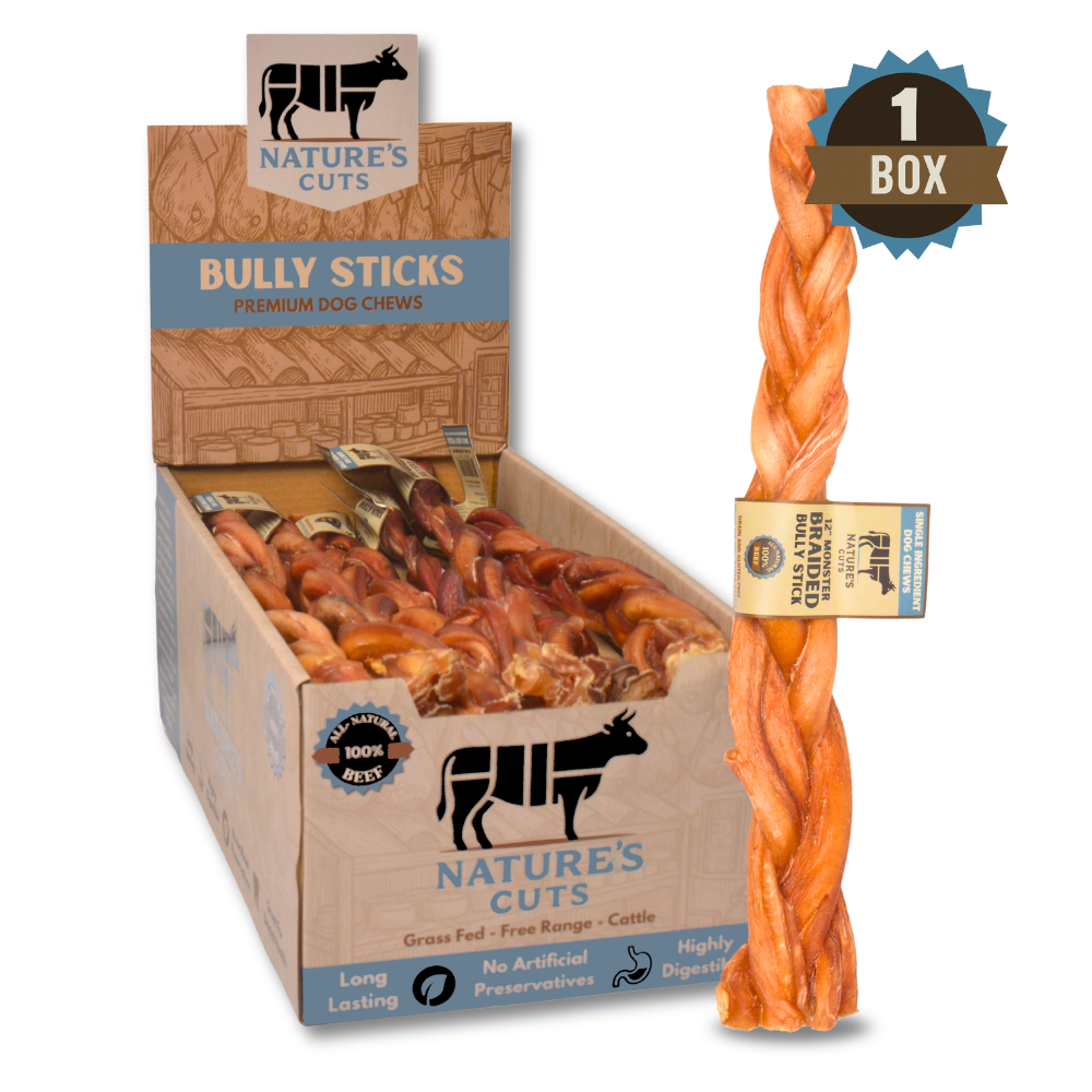 12" Monster Braided Bully Sticks Display Box