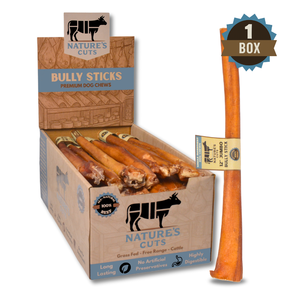 12" Jumbo Bully Sticks Display Box