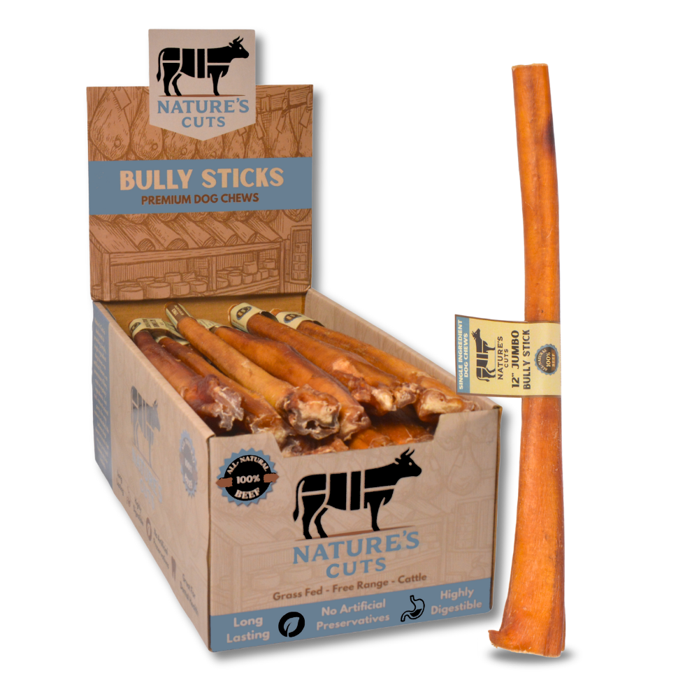 12" Jumbo Bully Sticks Display Box