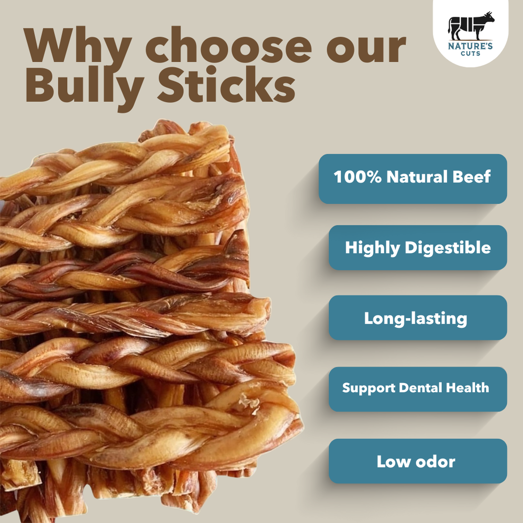 12" Monster Braided Bully Sticks Display Box