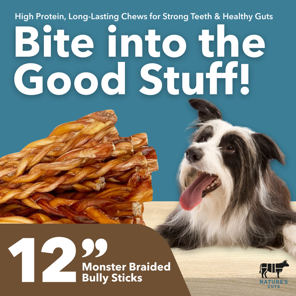 12" MONSTER Braided Bully Sticks