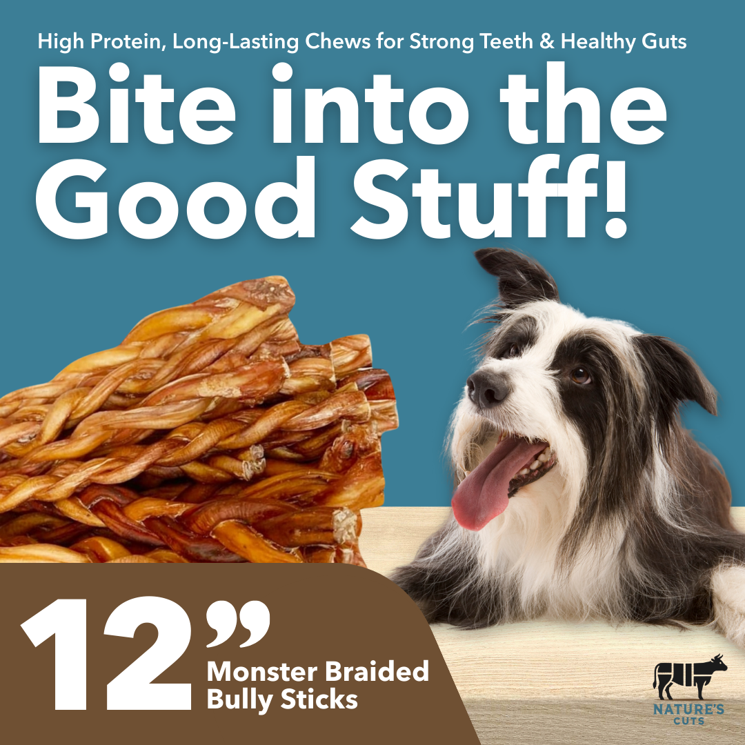 12" MONSTER Braided Bully Sticks