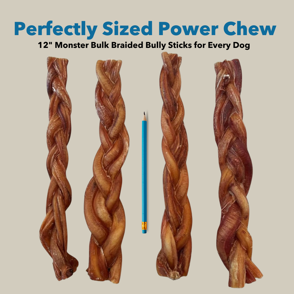 12" MONSTER Braided Bully Sticks