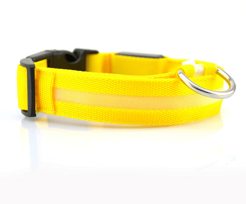 Luminous Glow-In-The-Dark Led Pet Collar: The Ultimate Night Safety Accessory For Dogs And Cats