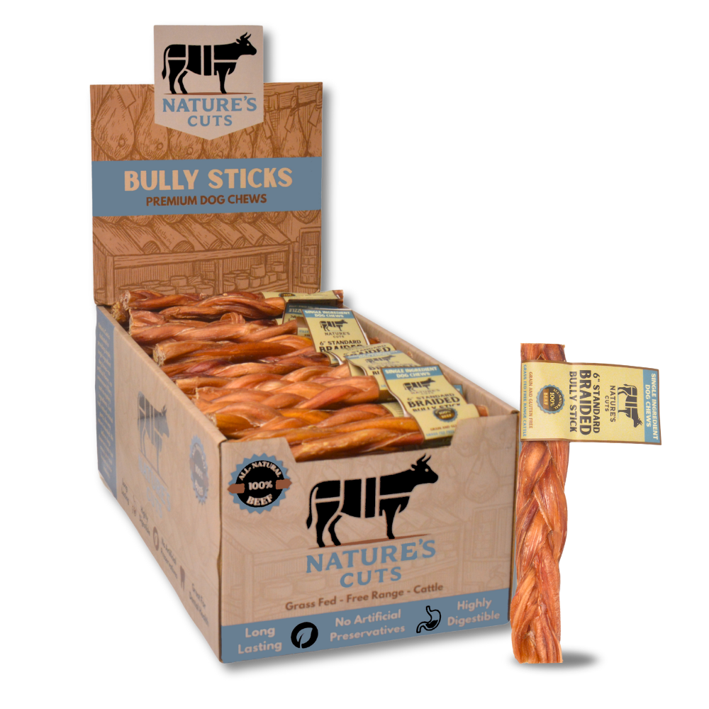 6" Standard Braided Bully Sticks Display Box