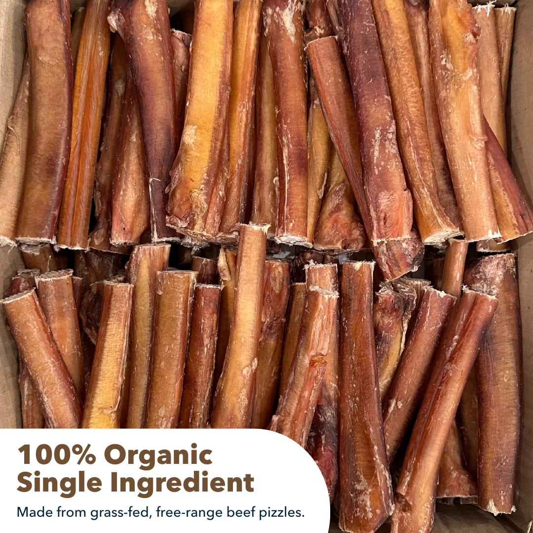 6" Jumbo Bully Sticks Display Box