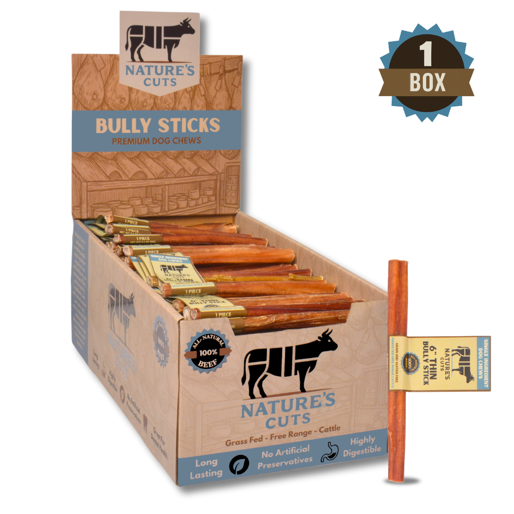 6" Thin Bully Sticks Display Box
