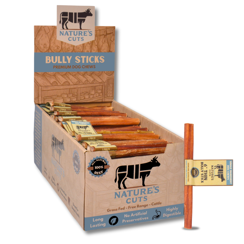 6" Thin Bully Sticks Display Box
