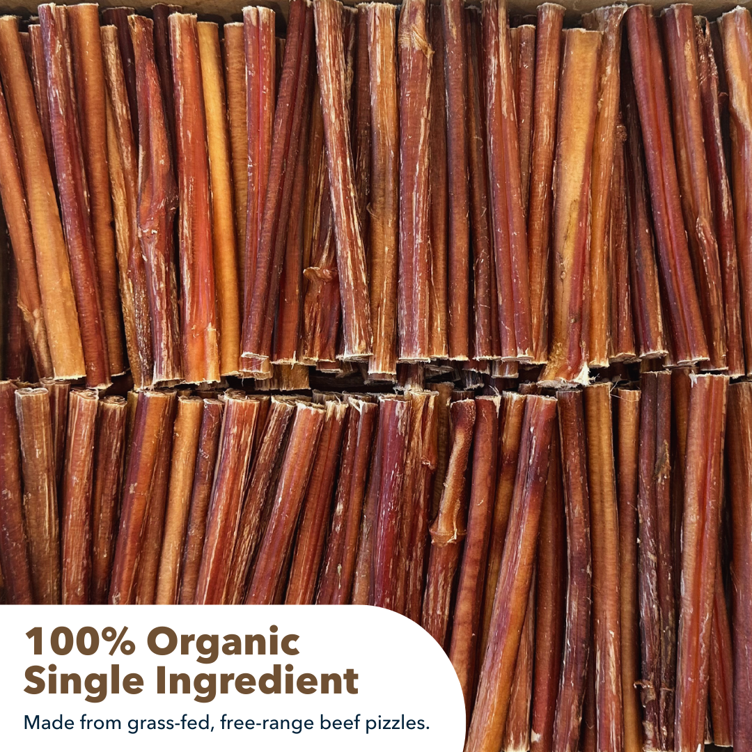 6" Thin Bully Sticks Display Box