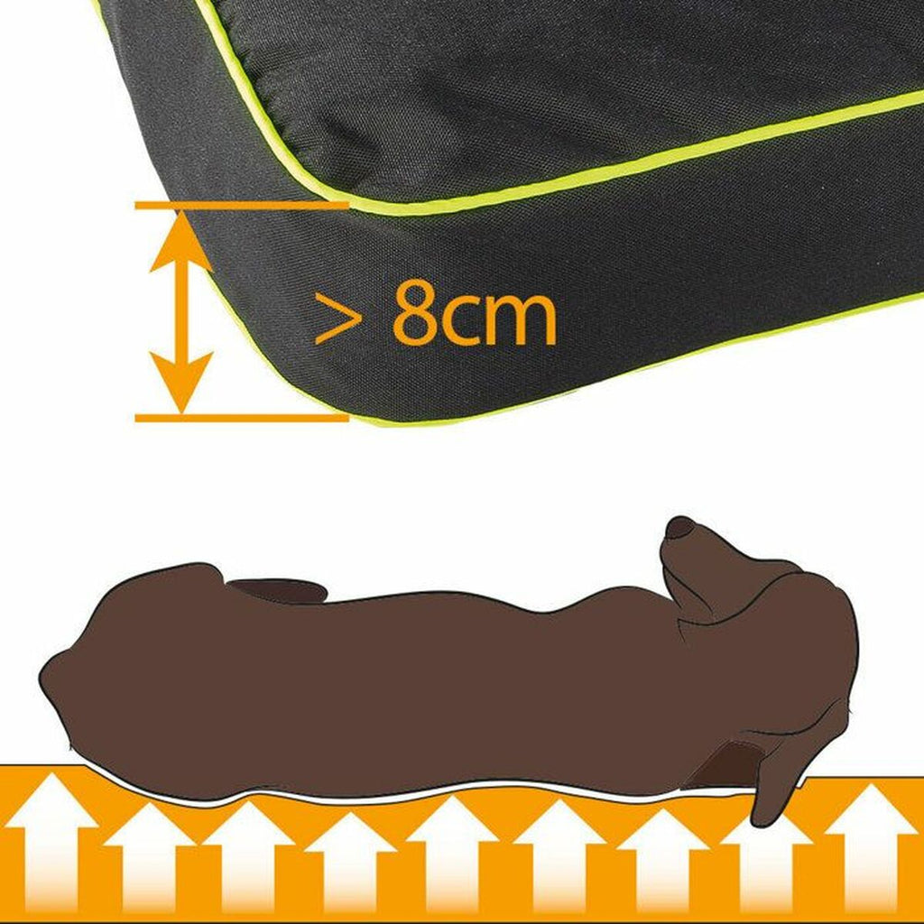 Dog Bed Ferplast