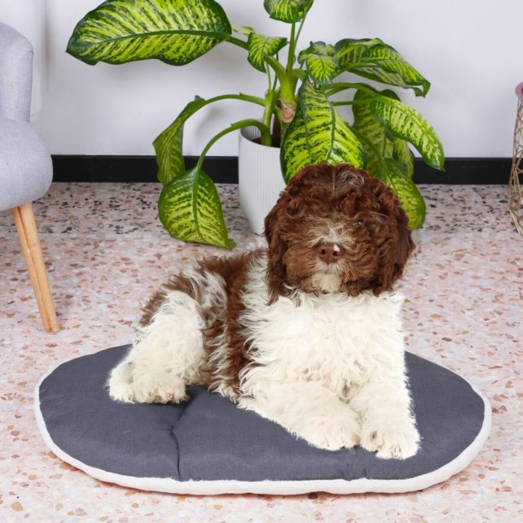 Dog Bed Ferplast