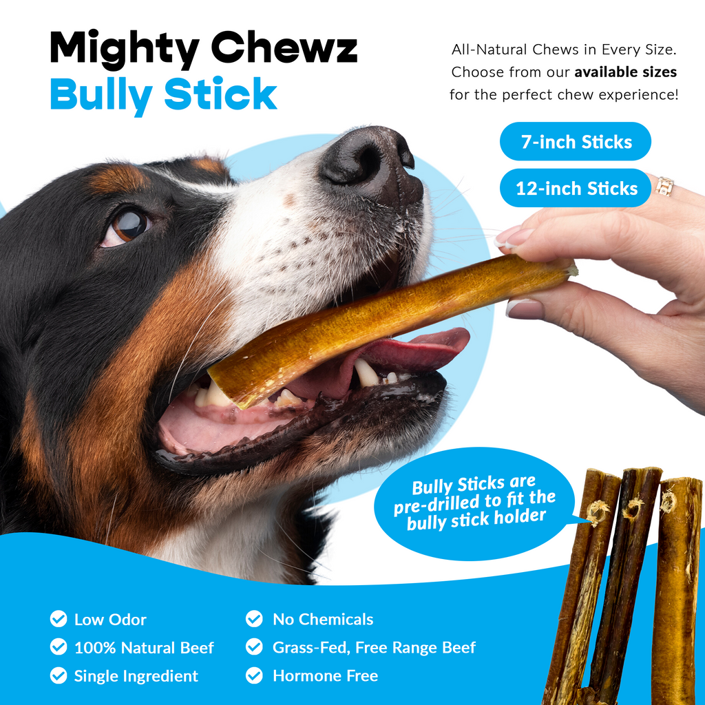 7" Thick Bully Sticks - Bully Bone Included