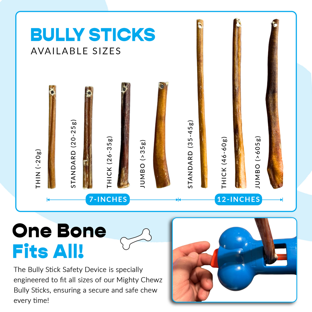 12" Standard Bully Sticks - Bully Bone Included