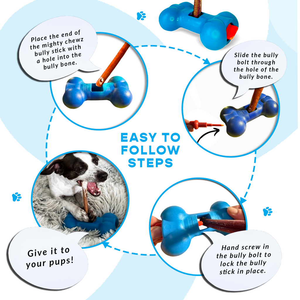 12" Standard Bully Sticks - Bully Bone Included