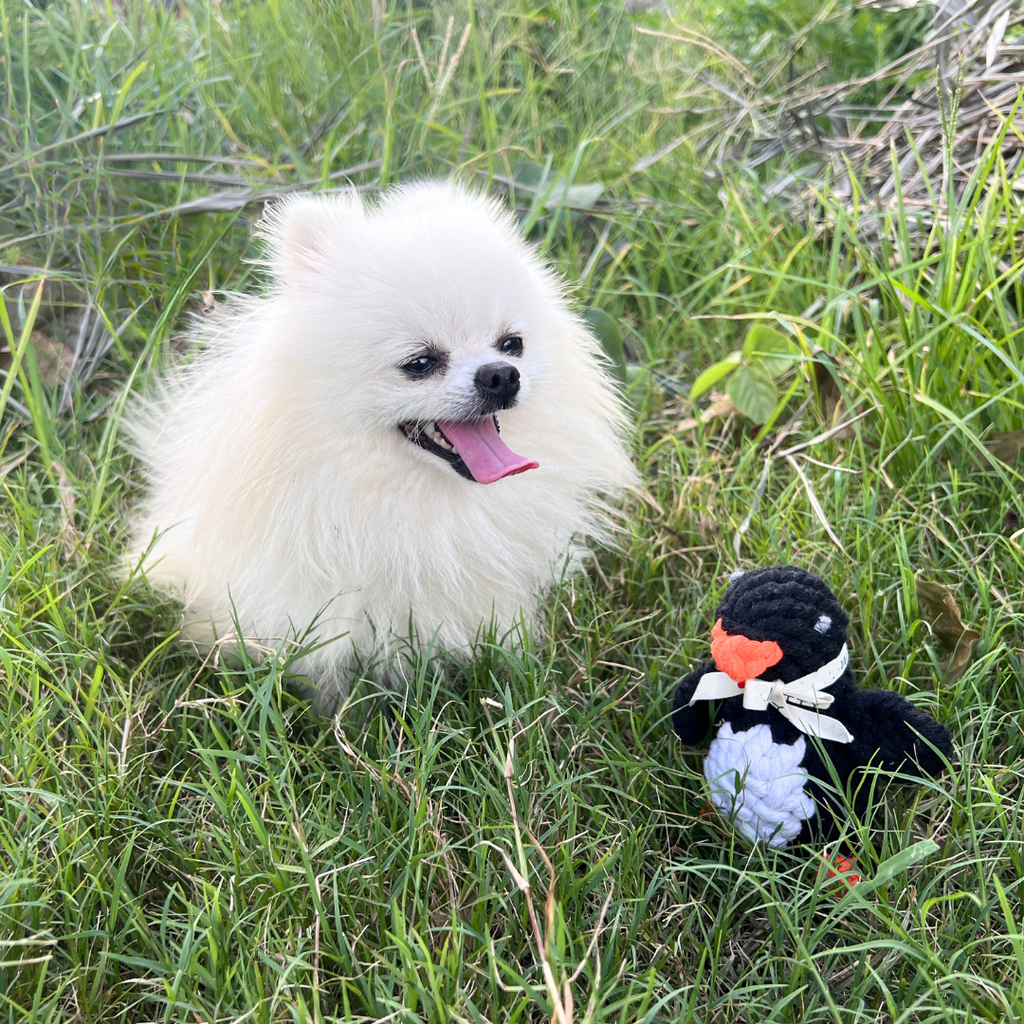 Kaixin the Penguin Rope Toy