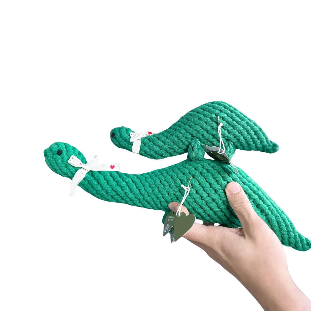 Rex the Green Dinosaur Rope Toy