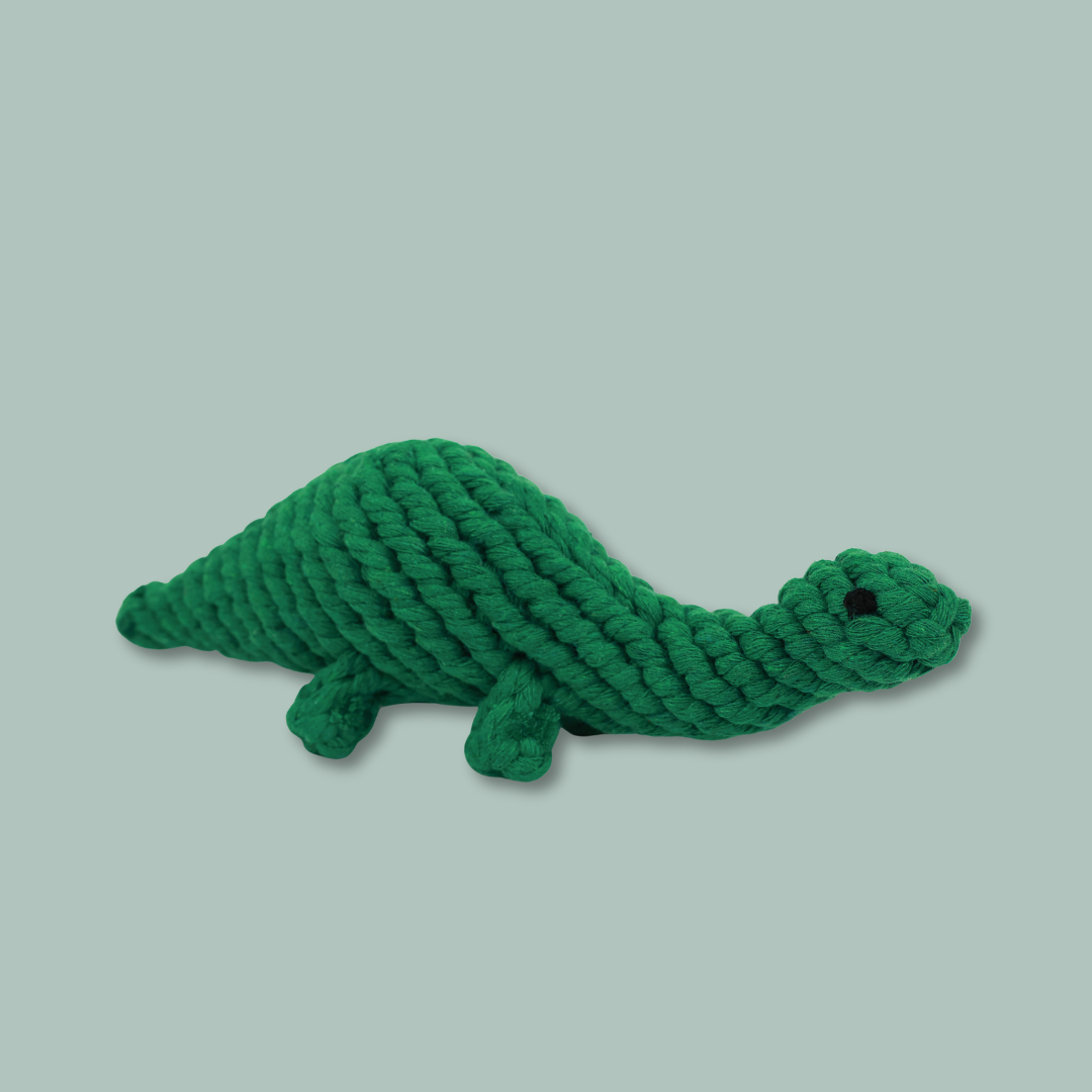Rex the Green Dinosaur Rope Toy