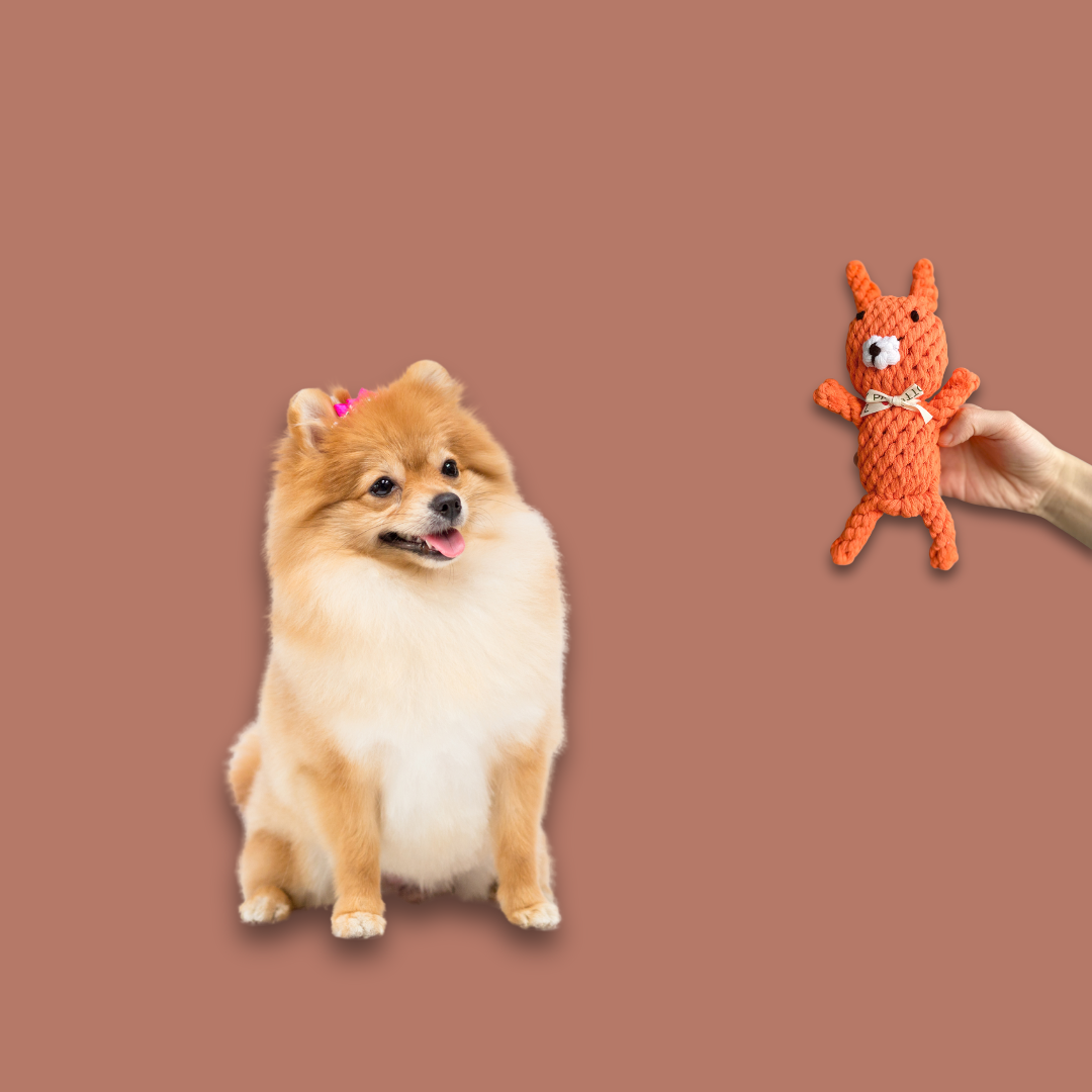 Handmade Eco-Fox Chew Rope Toys