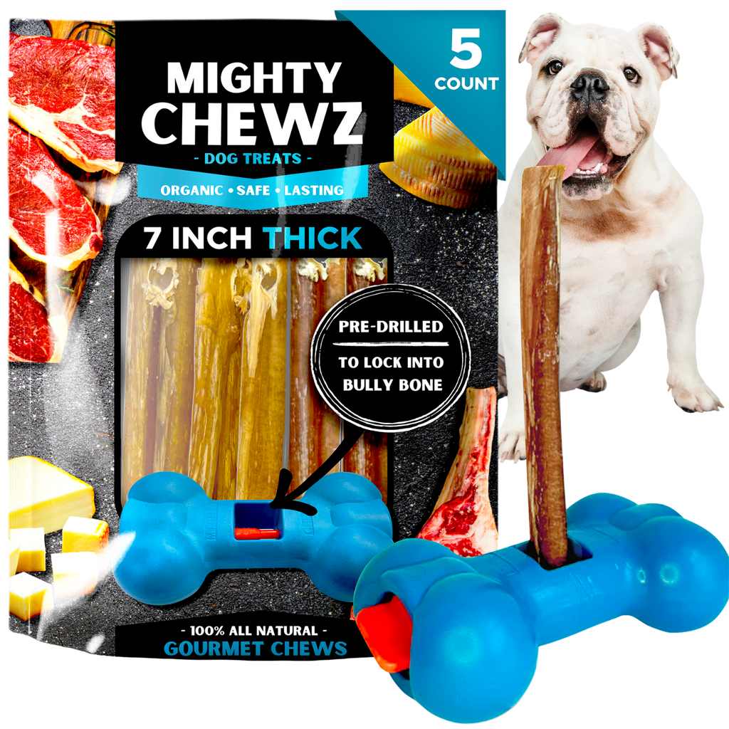 7" Thick Bully Sticks - Bully Bone Included