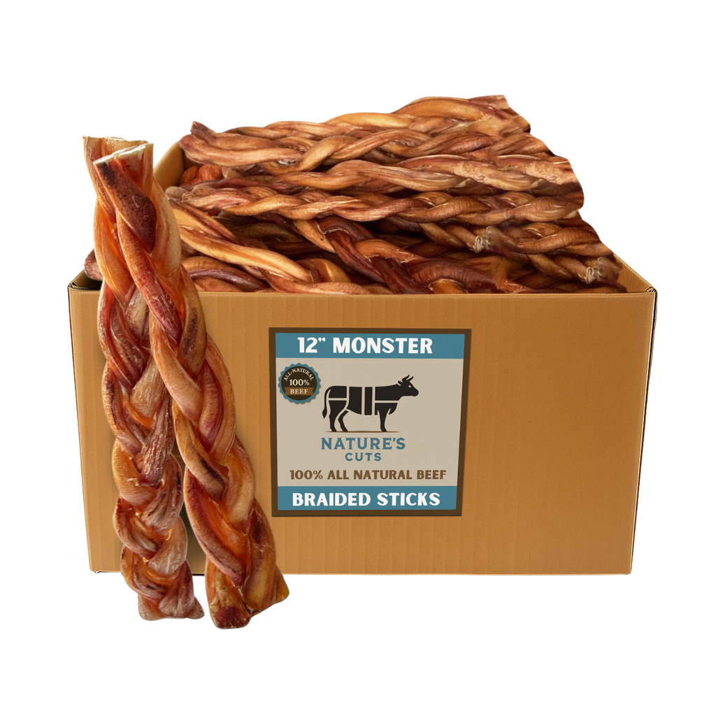 12" MONSTER Braided Bully Sticks