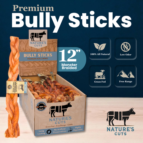 12" Monster Braided Bully Sticks Display Box