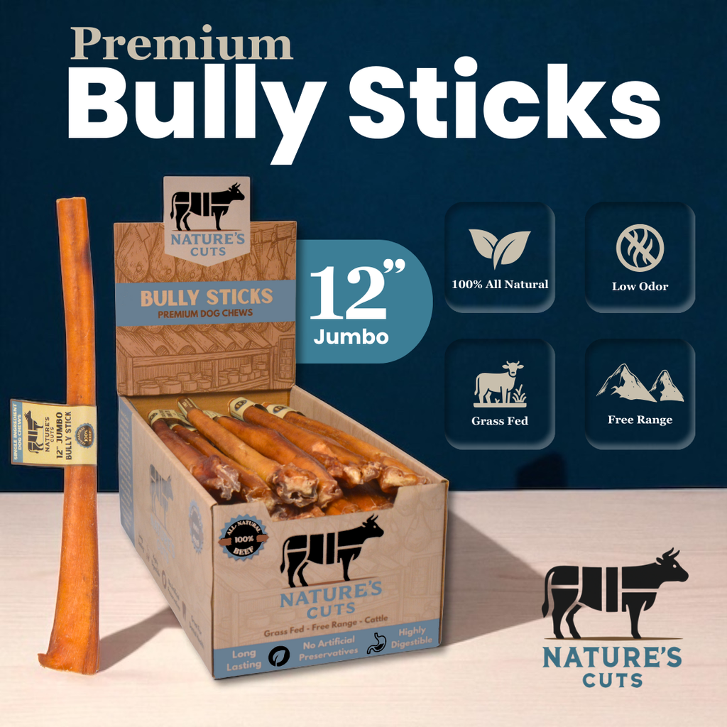 12" Jumbo Bully Sticks Display Box