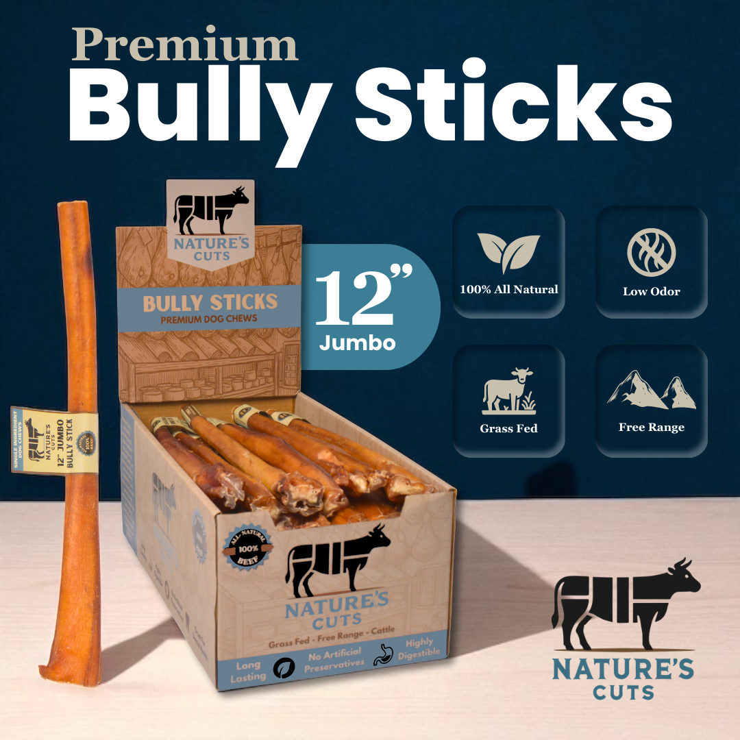 12" Jumbo Bully Sticks Display Box