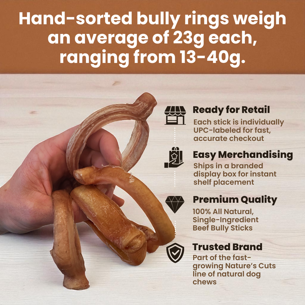 4" Bully Rings Display Box