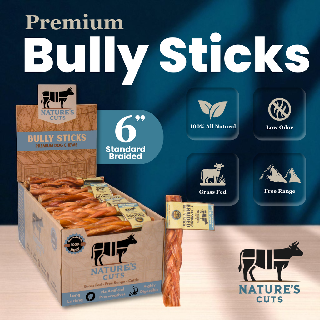 6" Standard Braided Bully Sticks Display Box