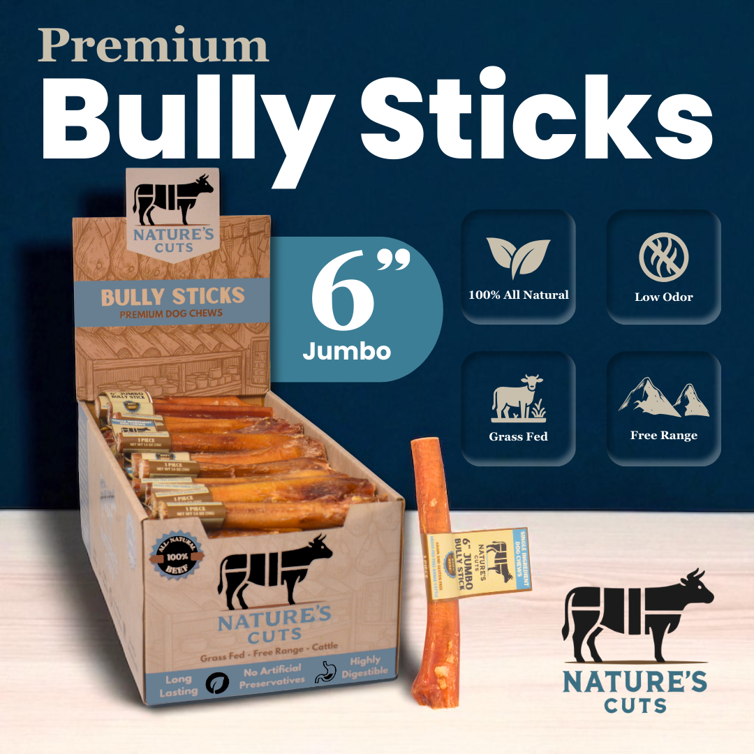 6" Jumbo Bully Sticks Display Box