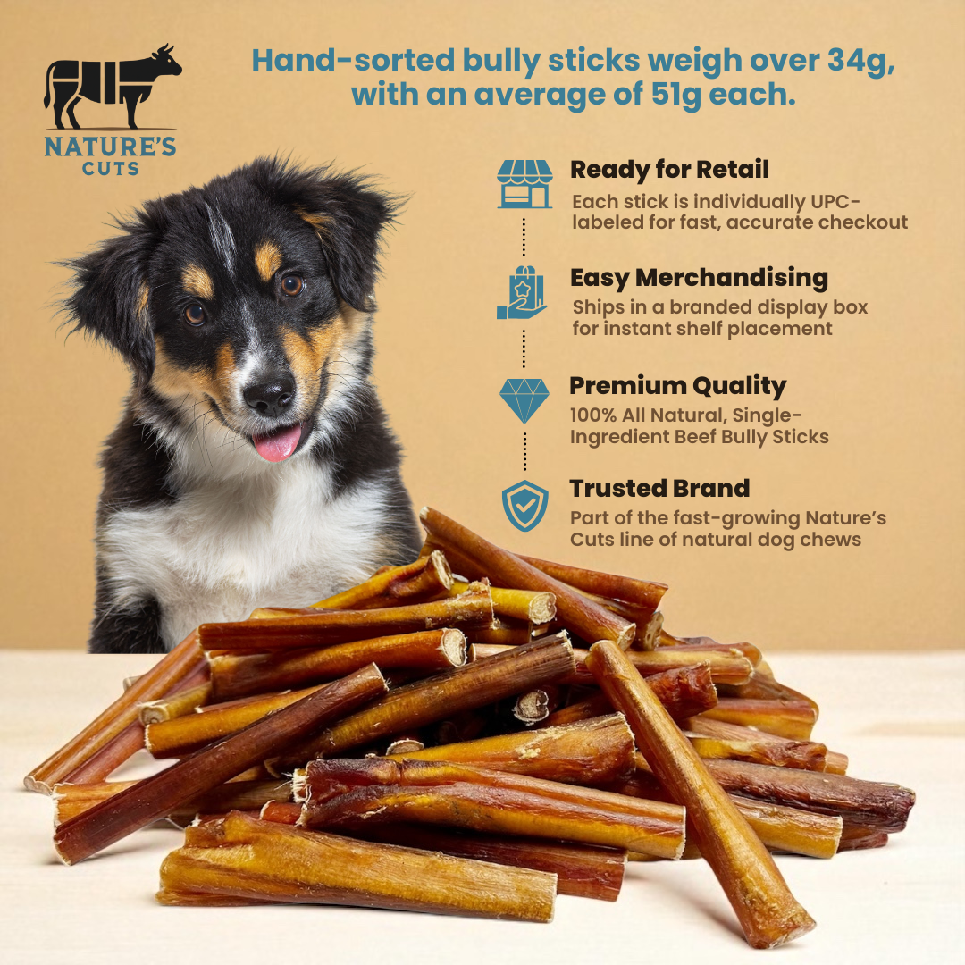 6" Jumbo Bully Sticks Display Box