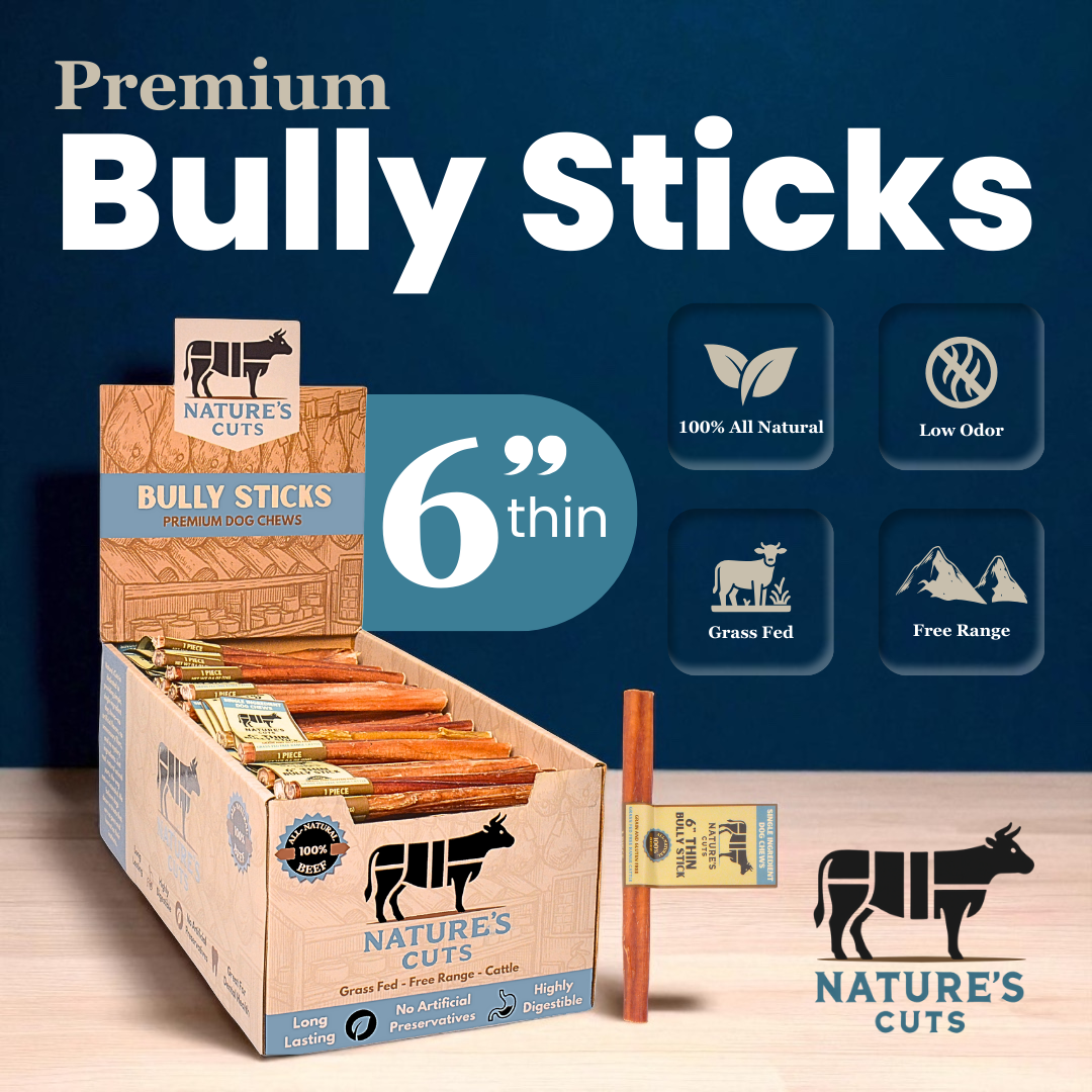 6" Thin Bully Sticks Display Box
