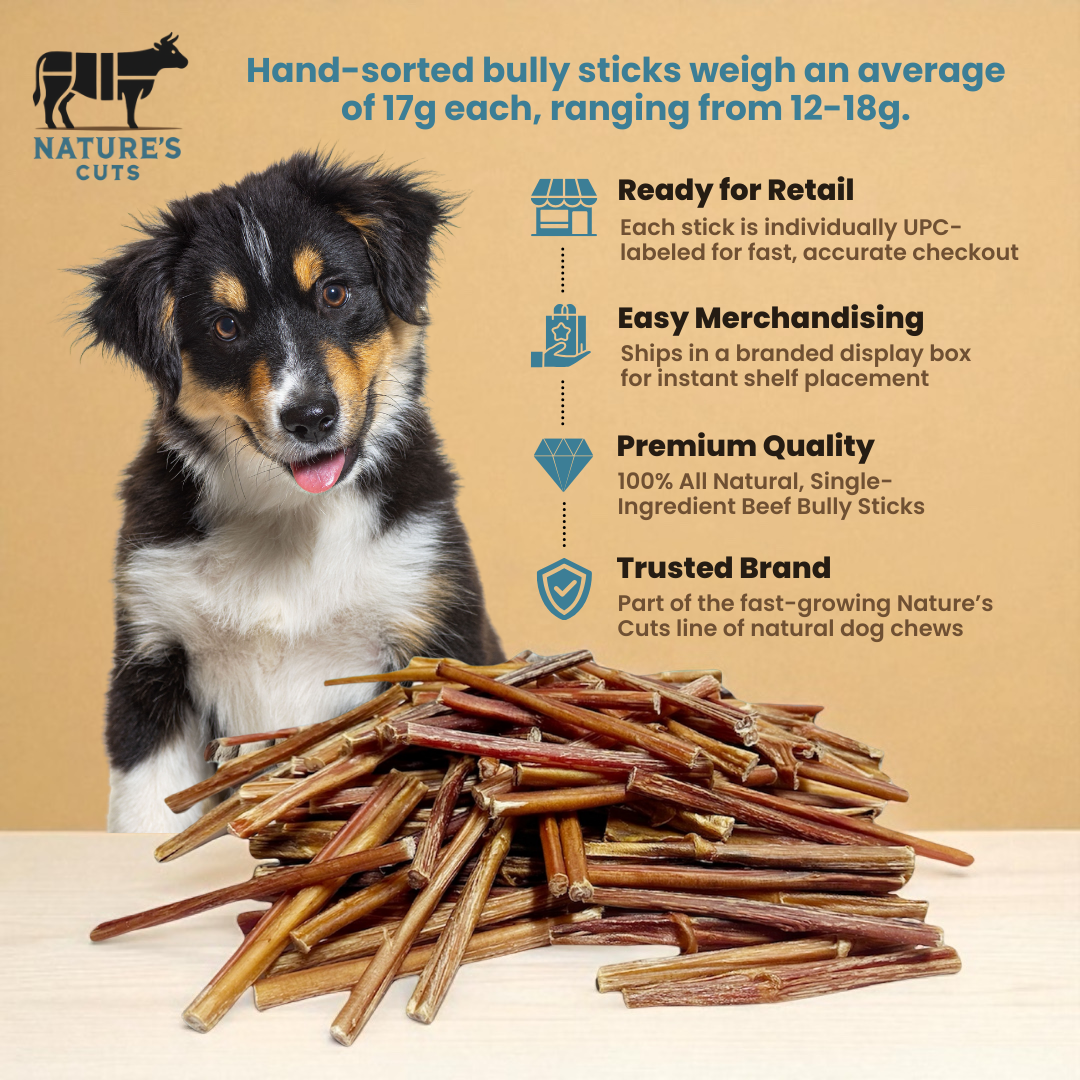 6" Thin Bully Sticks Display Box