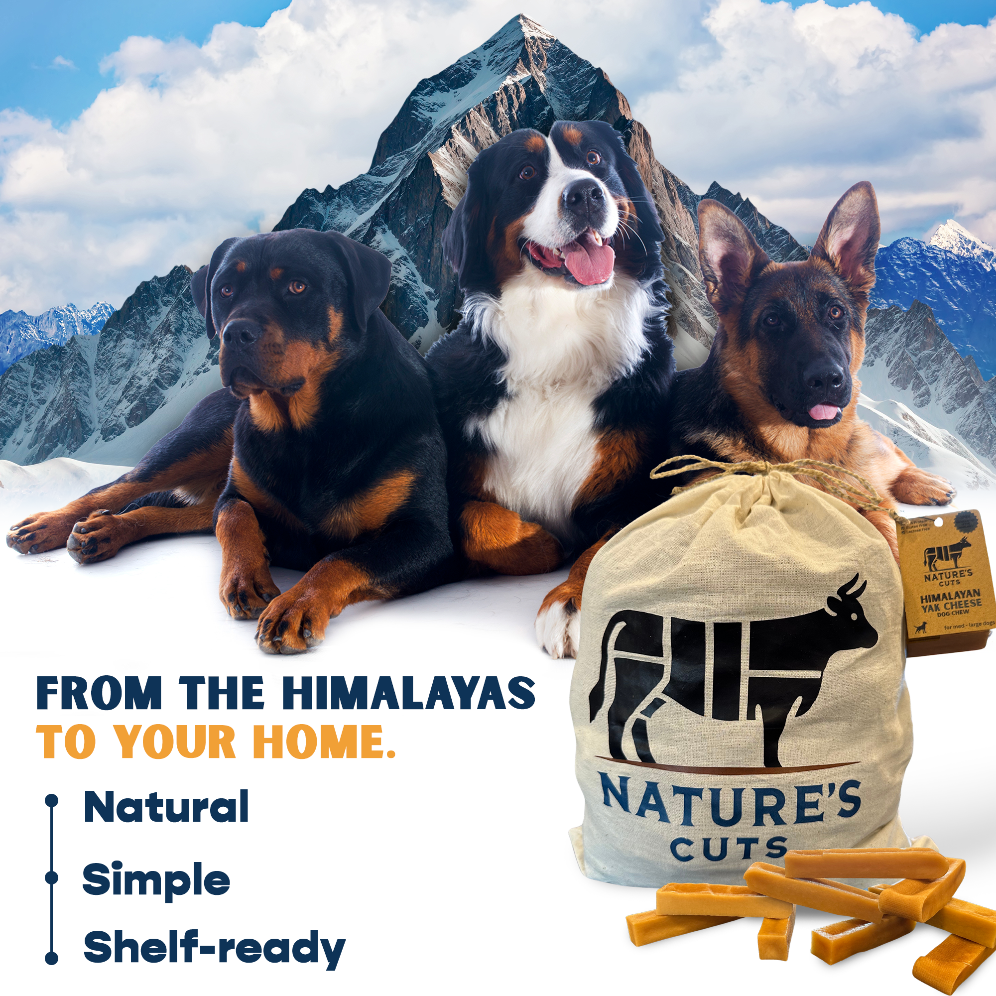 Large Pumpkin Flavored Yak Cheese w/ Tag