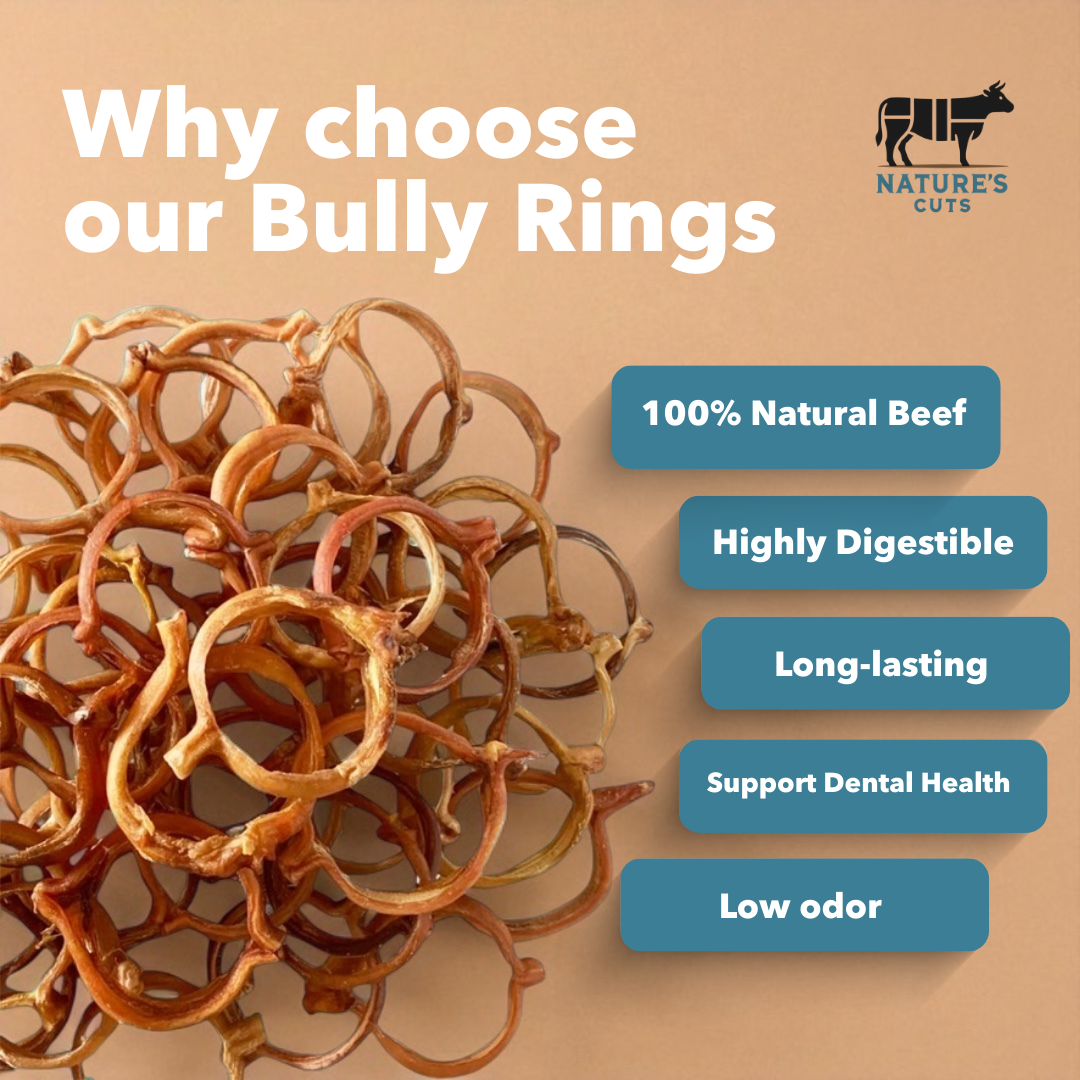 4" Bully Rings Display Box
