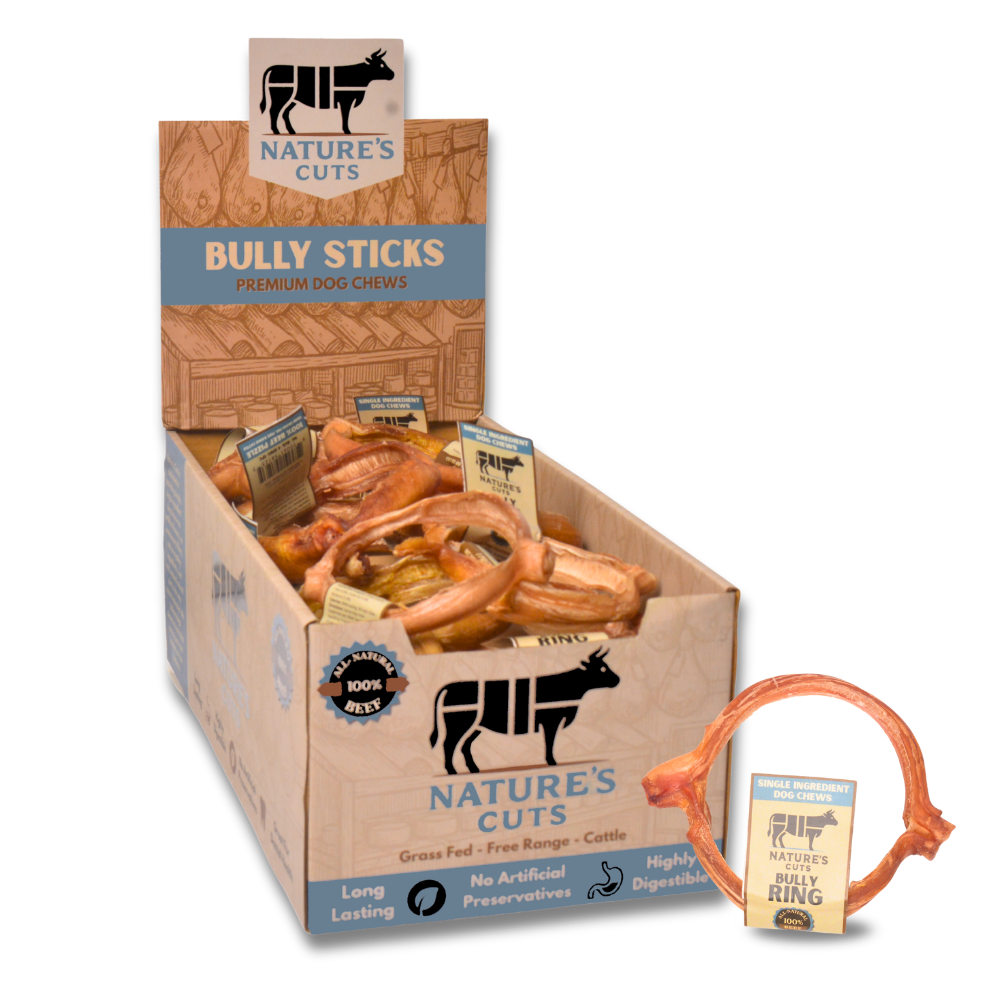 4" Bully Rings Display Box