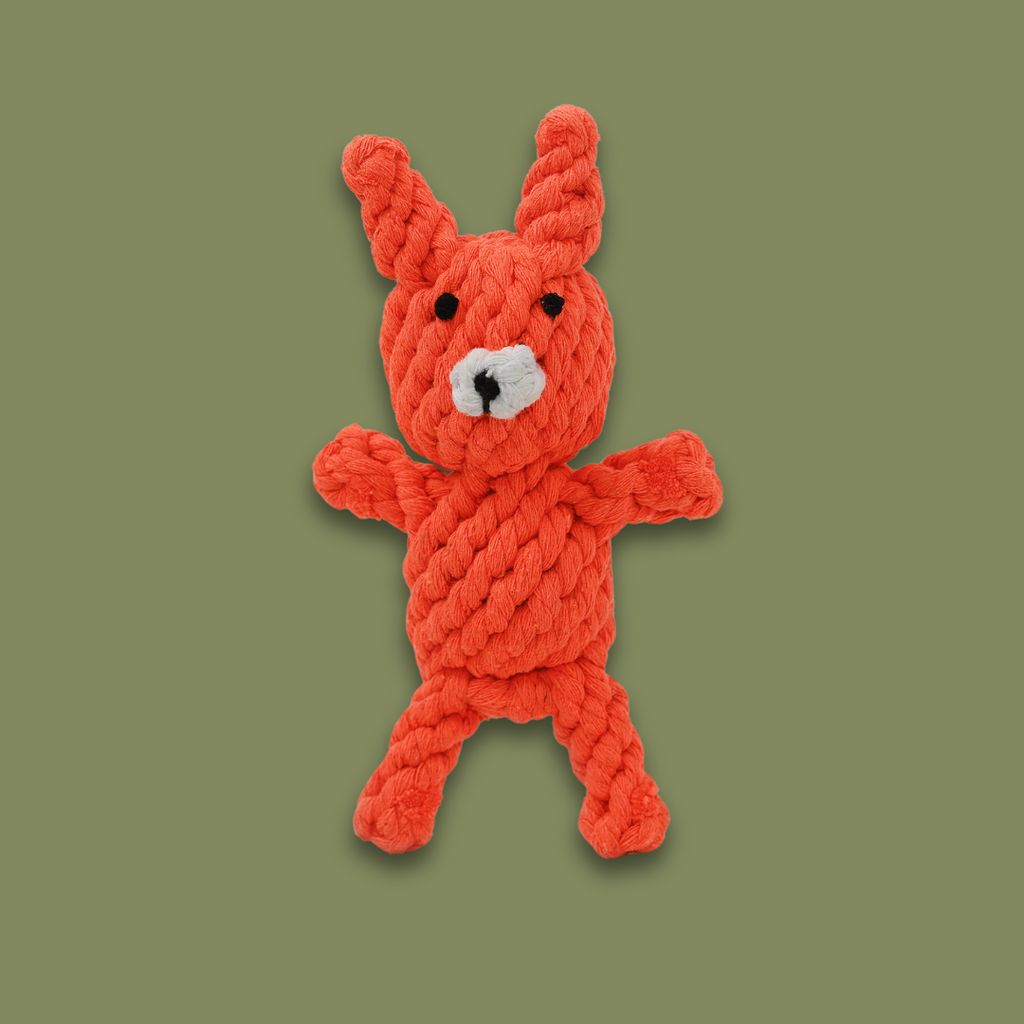 Handmade Eco-Fox Chew Rope Toys
