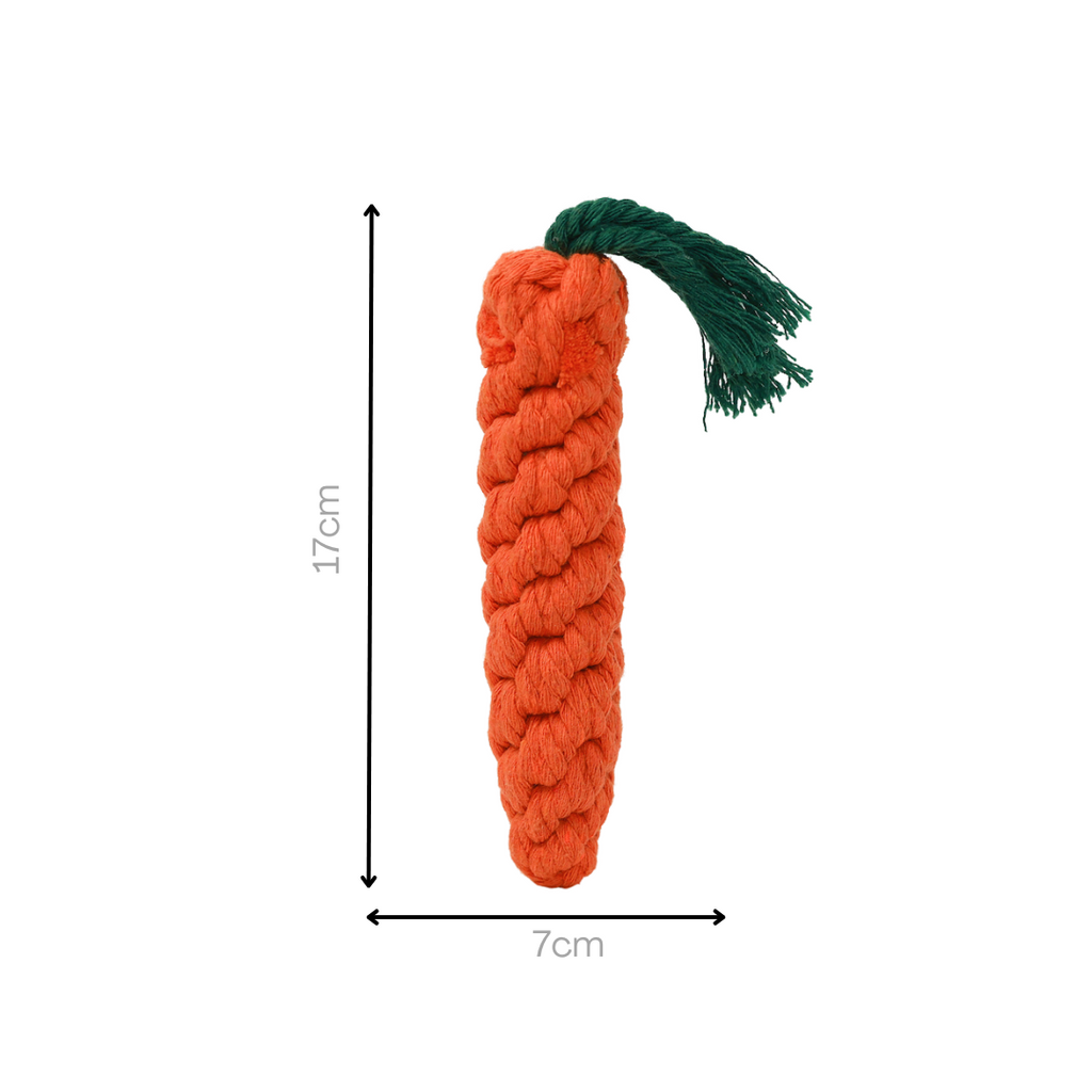 Monli Large Orange Carrot