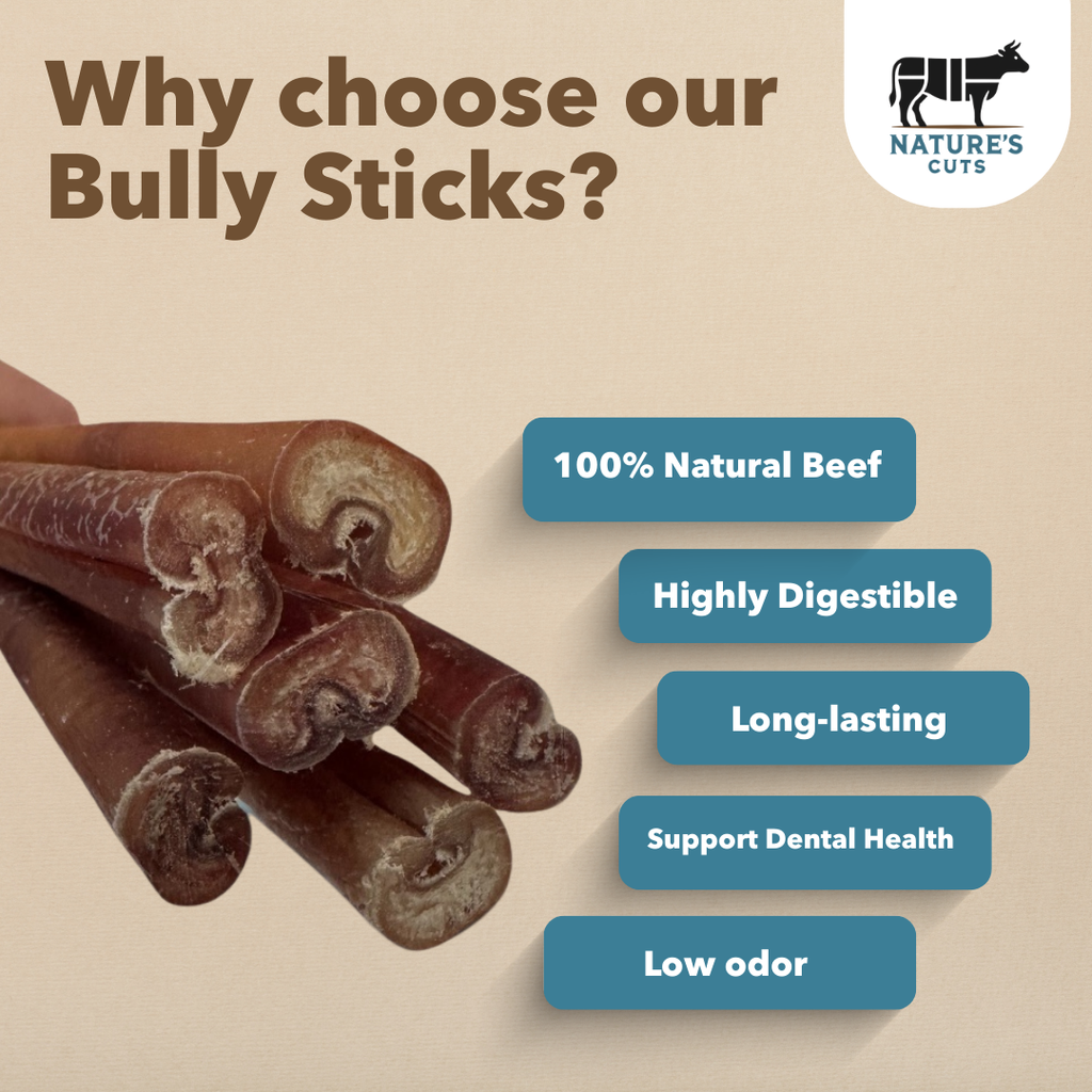 12" Jumbo Bully Sticks Display Box
