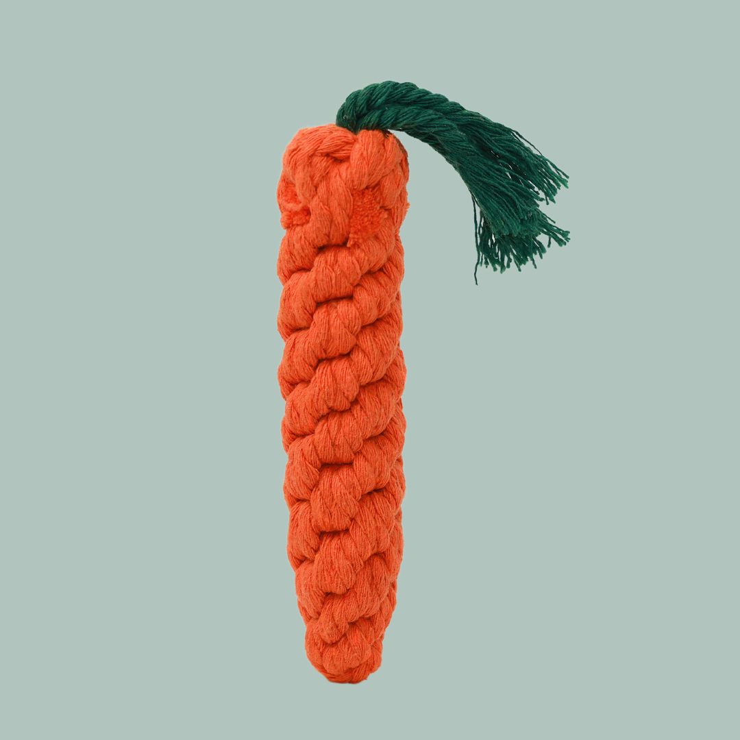 Monli Large Orange Carrot