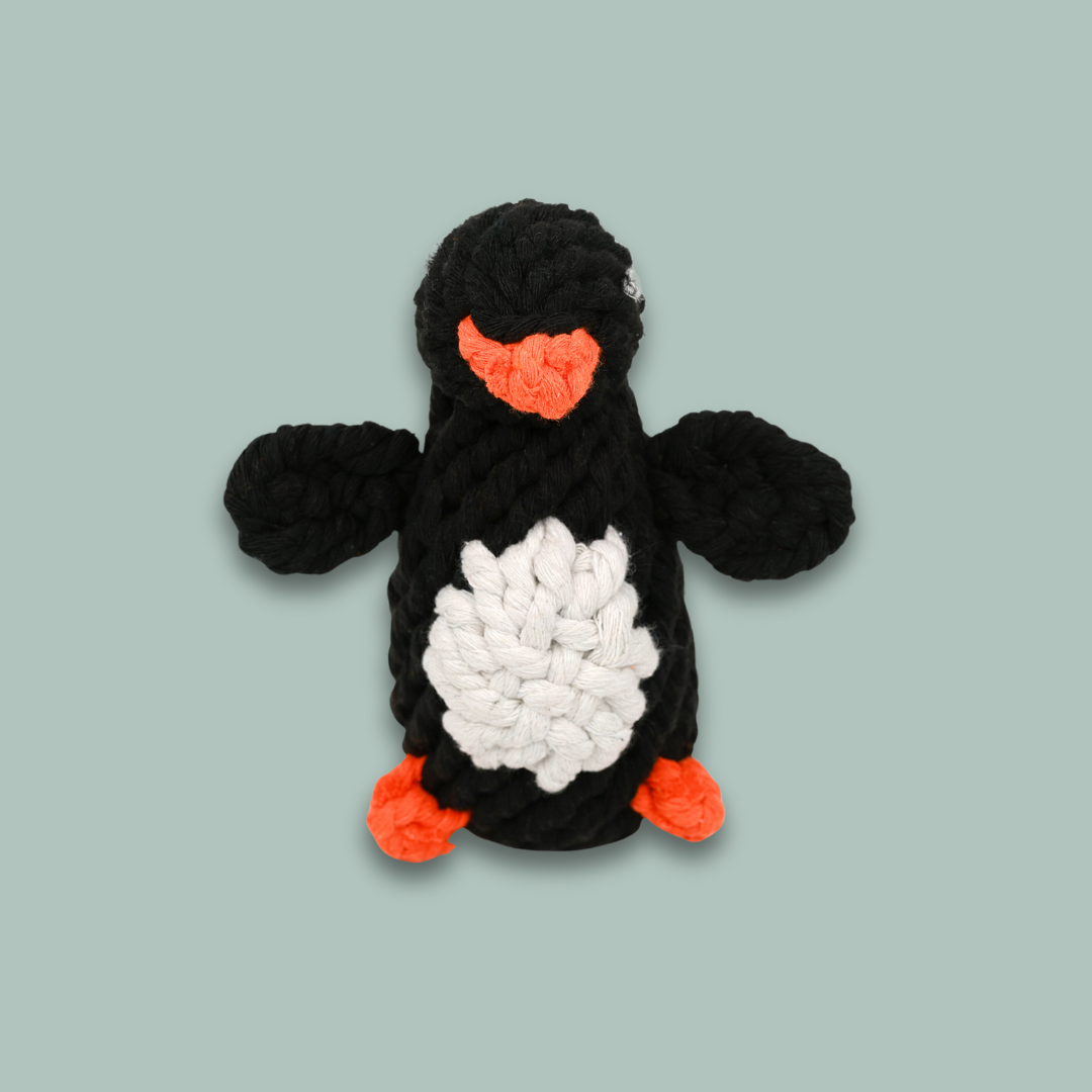 Kaixin the Penguin Rope Toy