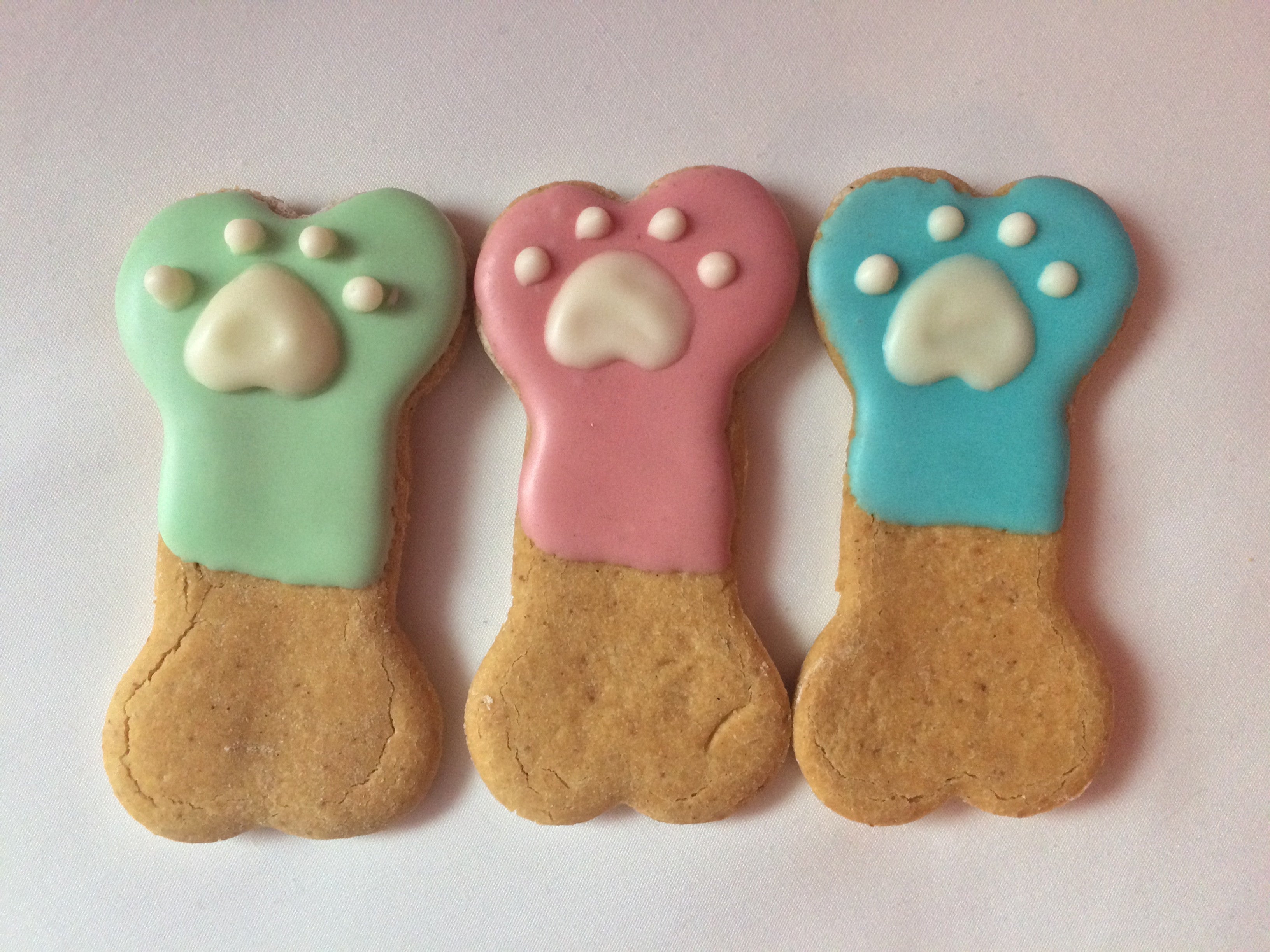 Spring Dog Bones PB (Qty 12)