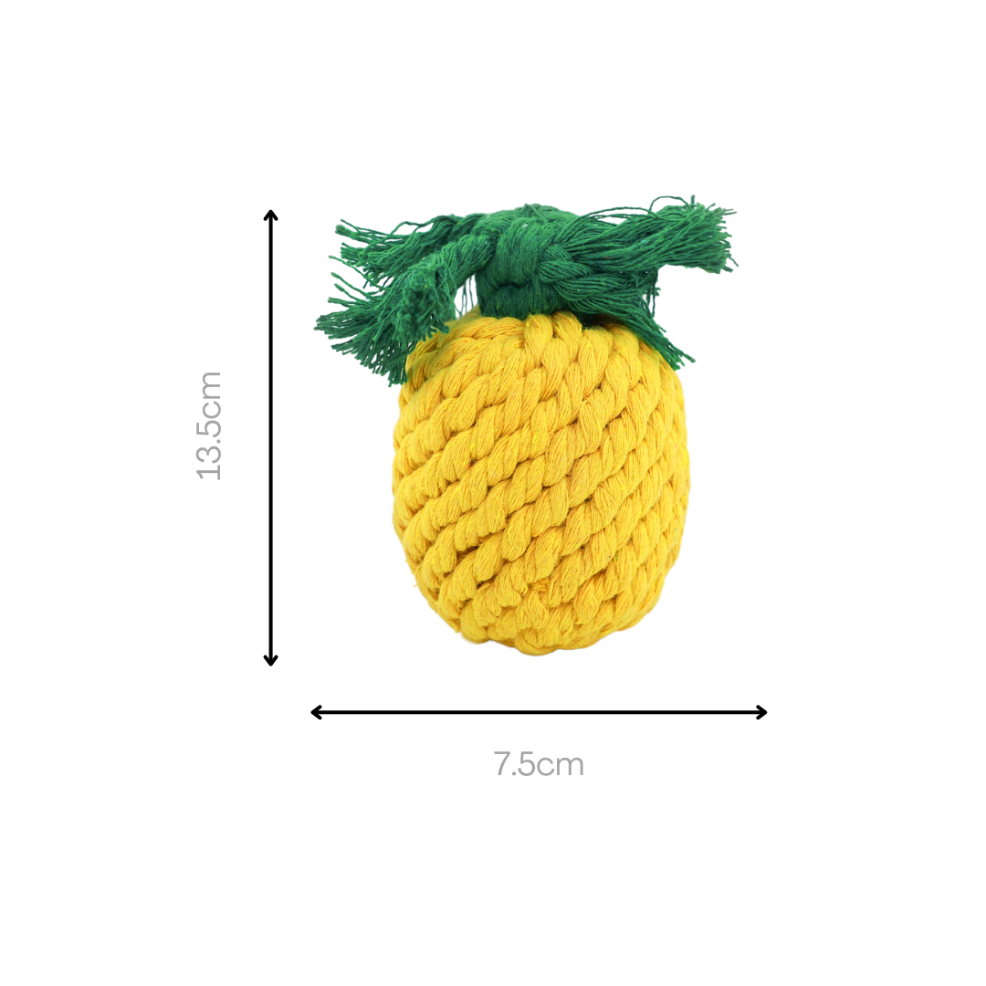 Handmade Small Pineapple Rope Toy
