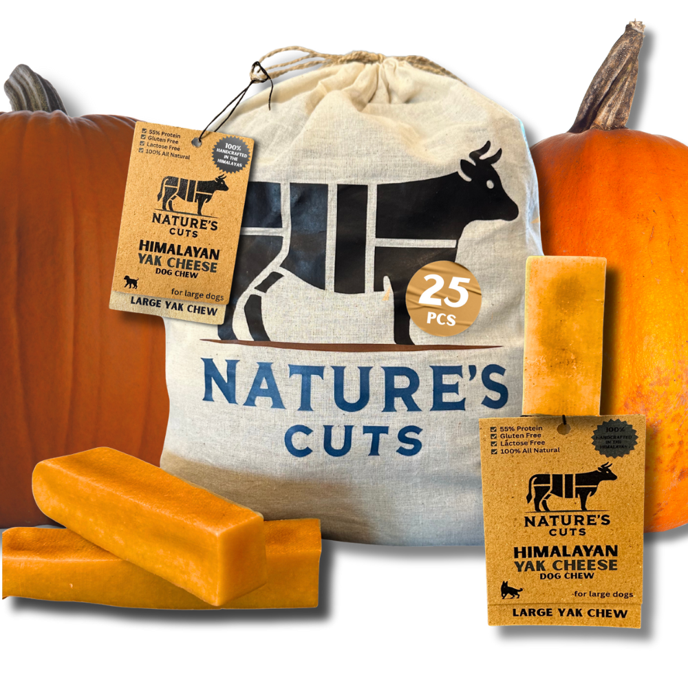 Large Pumpkin Flavored Yak Cheese w/ Tag