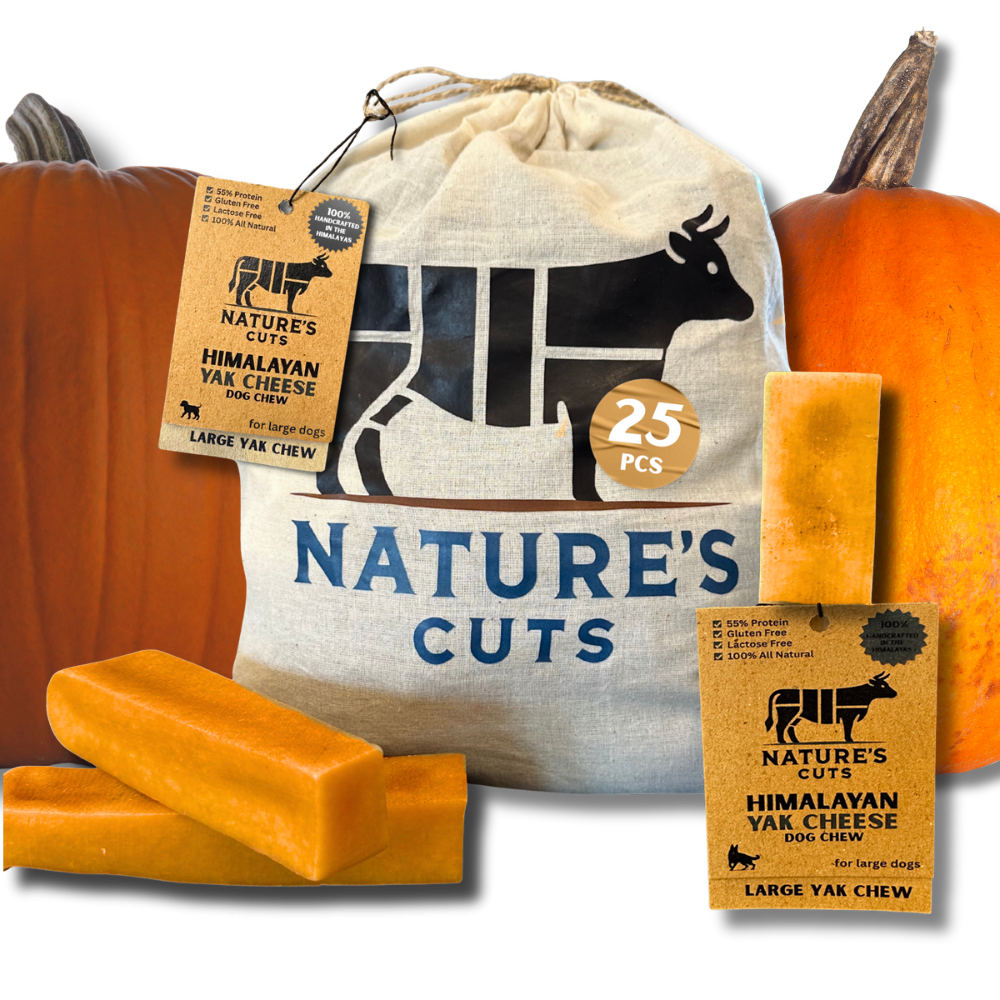 Large Pumpkin Flavored Yak Cheese w/ Tag