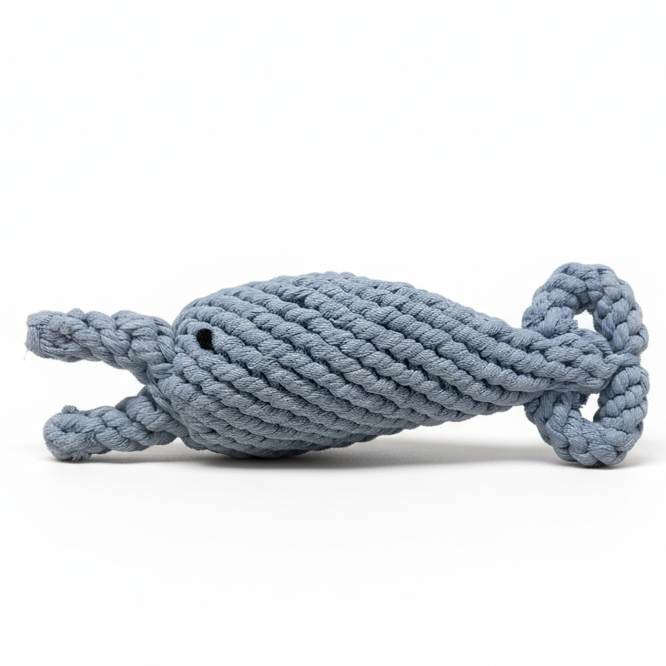 The dolphin dog toy